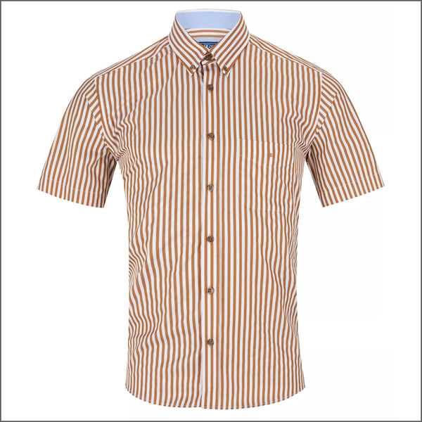 Dg's Tan Stripe SS Shirt=