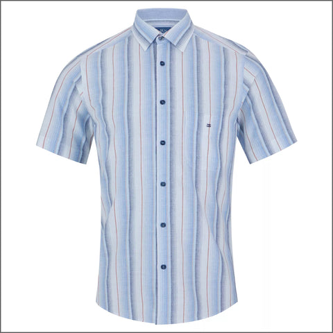 Dg's Light Blue Stripe Shirt SS**