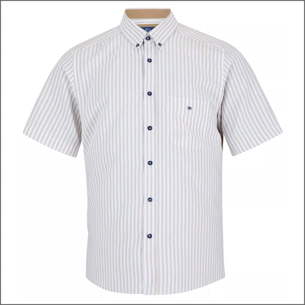 Dg's Brown & White Stripe Shirt SSº