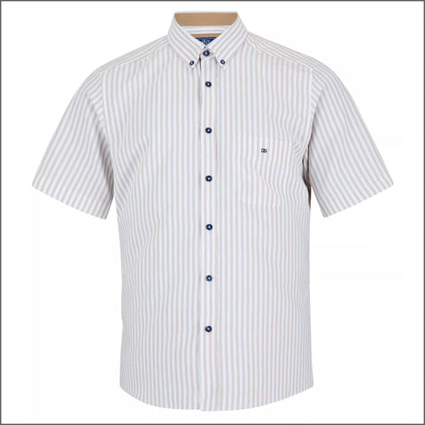 Dg's Brown & White Stripe Shirt SS*
