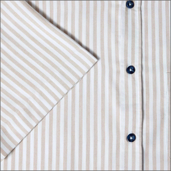 Dg's Brown & White Stripe Shirt SSº
