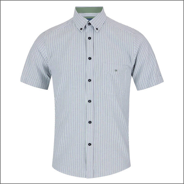 Dg's Green & White Stripe Shirt SSº