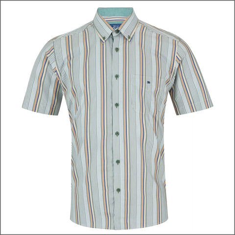 Dg's Green Stripe Shirt SS*