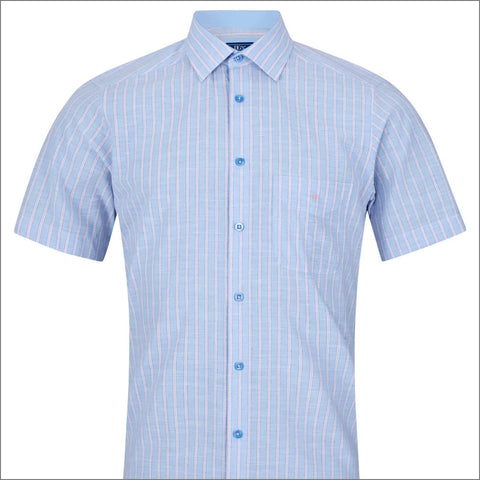 Dg's Blue Stripe Short Sleeves.
