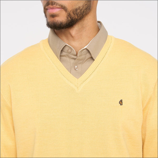 Gabicci K01 Pineapple V Neck*