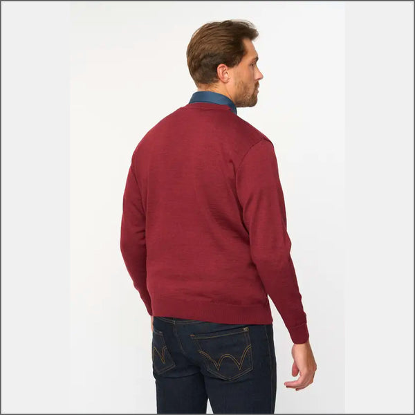 Gabicci M06 Mulberry Patterned V Neckº